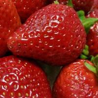 Cherezy (@cherezycom) Twitter profile photo