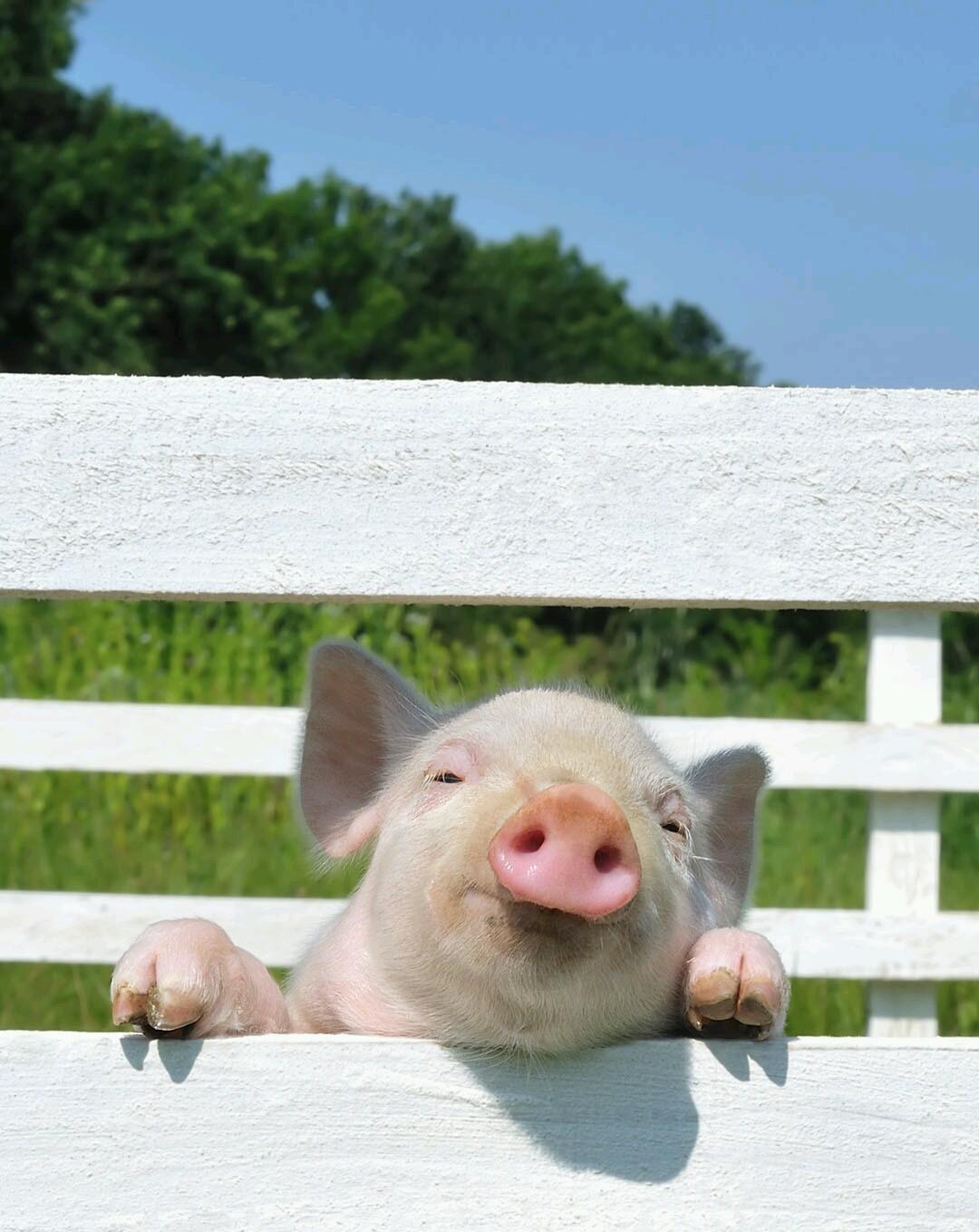 nt_Bean's profile picture. お芝居、朗読などが好きです。面白いことあれば、お気軽にお声かけください(笑)。シャボン玉みたいな感じです。
最近は、【シマリス】の言葉の響きに魅せられています。🐿️