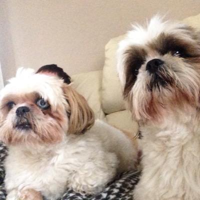 DanielLambert53's profile picture. 