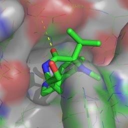 News and views from the AJR group. AJR is Professor of Medicinal Chemistry at the Departments of Chemistry & Pharmacology, University of Oxford.