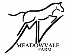 meadowvalefarm's profile picture. Horse riding lessons, horse shows, eventing, horse boarding