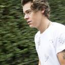 mànél (harry styles (@06ab520c672b493) Twitter