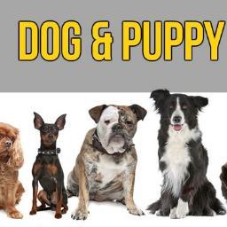 Dog and Puppy Supplies is the place to get some of the coolest and most useful things for your pet.