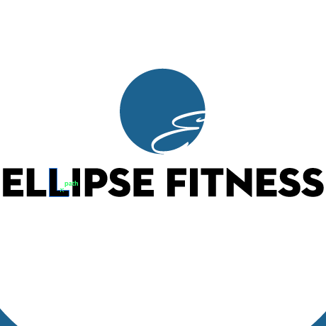 Ellipse Fitness