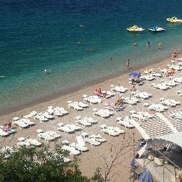 VekonyFerenc's profile picture. 