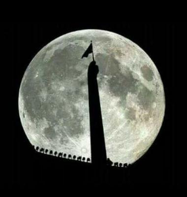 lucholakd77's profile picture. cada día q pasa mi amor x vos es mas grande!!!!