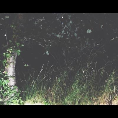 LockboxUK's profile picture. South Coast Kids.