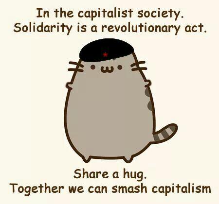 anarchy__cat's profile picture. 