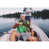 David (@david_brown44) 's Twitter Profile