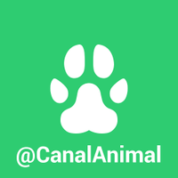 Canal Animal(@CanalAnimal) 's Twitter Profileg