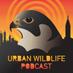UrbanWildlifePodcast (@urbwildlifecast) Twitter profile photo UrbanWildlifePodcast (@urbwildlifecast) Twitter profile photo