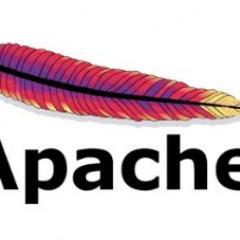 Apache Struts Profile