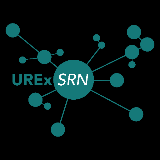 Urban Resilience Profile