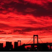 N_O_H_Y's profile picture. 相互しましょ！