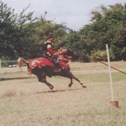MrTholian's profile picture. Retired Navy Chief.
Data center facility manager..
Yes, it's me on the horse in the profile pic.