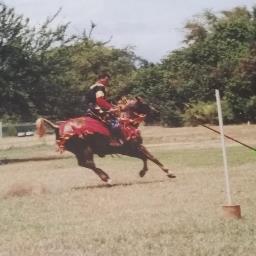 Retired Navy Chief.
Data center facility manager..
Yes, it's me on the horse in the profile pic.