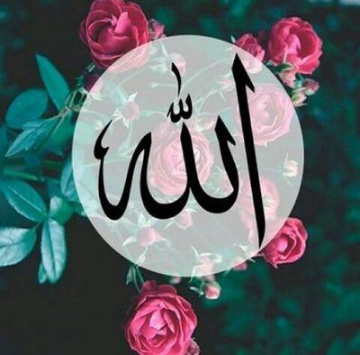 DonnaaMS's profile picture. ALLAH SWT&MUHAMMAD SAW❤️