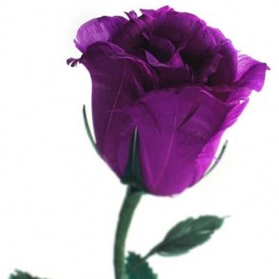 TanginaInlabAko's profile picture. 