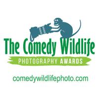 Comedy Wildlife Photography Awards (@comedywildlife) 's Twitter Profile