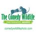 Comedy Wildlife Photography Awards (@ComedyWildlife) Twitter profile photo