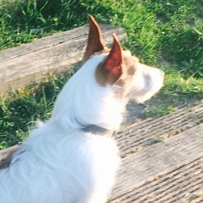 ovloop's profile picture. 