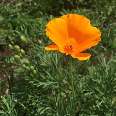 ZoeColeman19's profile picture. 