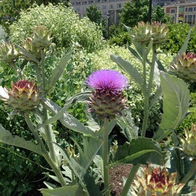 xkat99's profile picture. 