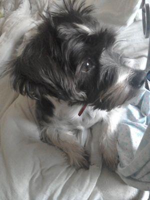 sharon_mcmillan's profile picture. 