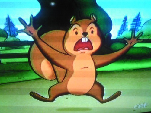 JumpySquirrel's profile picture. 