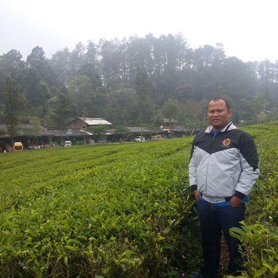 hengky_sipayung's profile picture.
