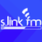 S.Link FM