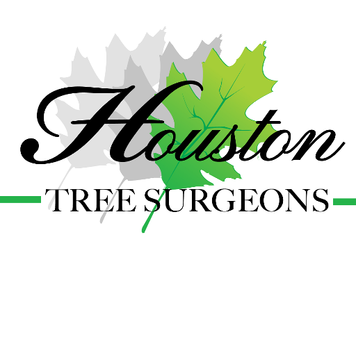 Tree Service in Houston, Tx with Certified Arborists on staff.