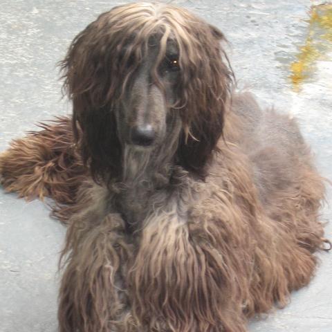 kazzyhow's profile picture. 