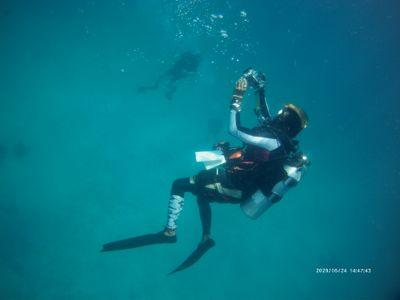 car drifter, photographer, licensed diver, traveler and a dog lover