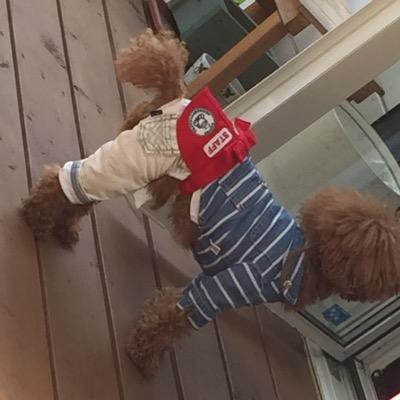 0212Techipo's profile picture. カフェ巡り/お洋服/Music/ディズニー/横保