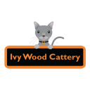 Ivy Wood Cattery - @HingMr - Twitter