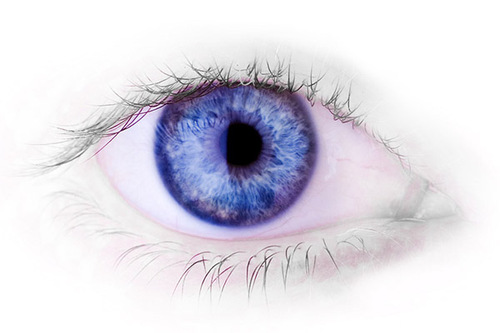 williamdecade's profile picture. https://t.co/E5kKDl2sDw cruptn/stlkng vctm/artst/actvst/etc/Disabled💙Pls Help Billy Joe Davis by making  donation by PayPal to williamdecade1@yahoo.com