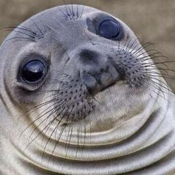 Lolz .gifs about working in (or starting) a Startup
