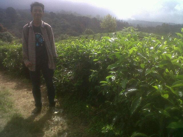 FajarNggew's profile picture. 25011998