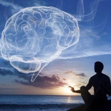 WE RUN MINDFULNESS PROGRAMMES IN FACE-TO-FACE AS WELL AS ONLINE GROUP SETTINGS. WE COACH & MENTOR AT ALL STAGES FOR MEDITATION AND TEACHERS.