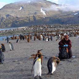 Microbiome research, cyanobacteria, soil, ice and water, Polar Regions, agriculture and mine rehabilitation