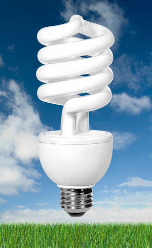 curlylightbulb's profile picture. Ideas for cleaner living