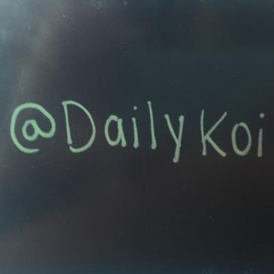 DailyKoi's profile picture. Hol up....we dem Kois.