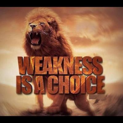 bennett268's profile picture. 