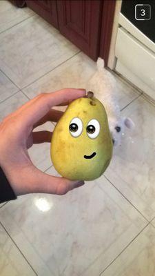 legalpear's profile picture. wasting time; time wasting