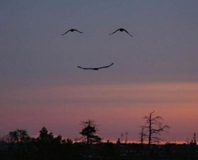 AmazingMiracles's profile picture. Amazing Miracles is a nonprofit organization. We provide services and support to people in need. We connect people and enrich lives.