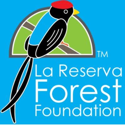 LRFF is a volunteer charitable organization dedicated to the restoration and preservation of the world’s vital indigenous tropical rain forests