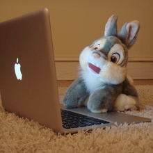 BunnyAboutTown's profile picture. Do you understand Bunnynese? An inside look at Chicago! Anything and EVERYTHING!