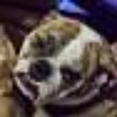 GrecoJeff's profile picture. 