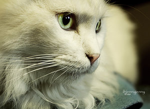 fantasia949's profile picture. 